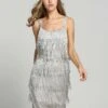 [Clearance] Belted Gray 1920s Fringe Gatsby Dress