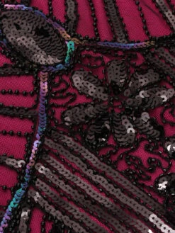 [US Warehouse] Rose Red 1920s Flapper Sequin Dress -Candi Clothing Shop 1920s dress5 9f0edbf2 026a 4673 b6ef 945a07741a88