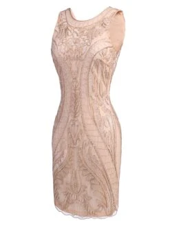 [US Warehouse] Pink 1920s Beaded Embroidery Dress -Candi Clothing Shop SCH000392 3 e8c3964e 6aba 495e b6fe 66111c9f7922