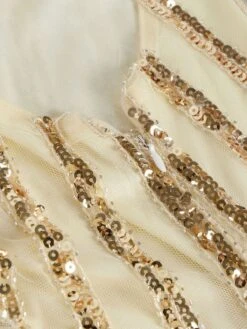 1920s Mesh Sequined Cape Maxi Dress -Candi Clothing Shop SCH000412 AP 6 0b3bd65b ef54 4198 bd78 fd2b56575537