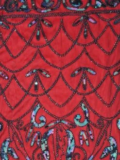 1920s Fringed Flapper Gatsby Dress -Candi Clothing Shop SCV001593 WR 5