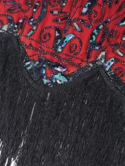 1920s Fringed Flapper Gatsby Dress -Candi Clothing Shop SCV001593 WR 6