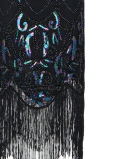 1920s Fringed Flapper Gatsby Dress -Candi Clothing Shop SCV001601 B 6