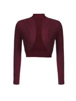 2PCS Wine Red 1960s Velvet Bodycon Dress -Candi Clothing Shop SCV009606 1