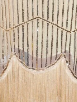 [US Warehouse] Apricot 1920s Beaded SequinFlapper Dress -Candi Clothing Shop SVV031857 BE 4